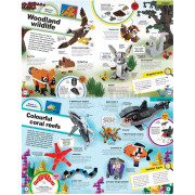美國直送【LEGO Animal Atlas 圖書連60件積木】